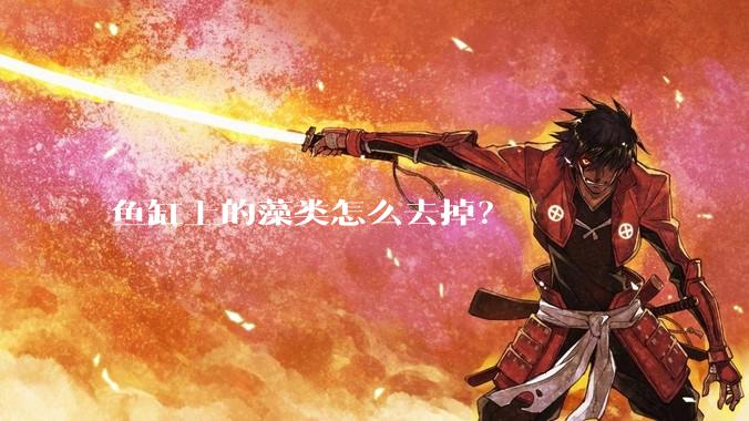 鱼缸上的藻类怎么去掉？