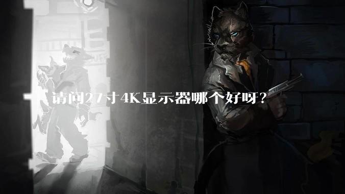 请问27寸4K显示器哪个好呀？