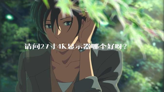 请问27寸4K显示器哪个好呀？