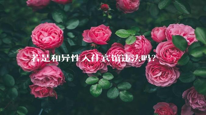 若是和异性入住宾馆违法吗？