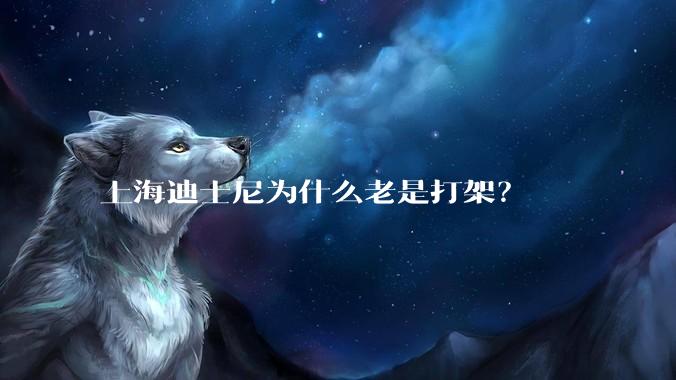 上海迪士尼为什么老是打架？