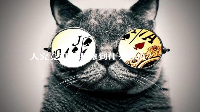 人究竟可以悲惨到什么程度？