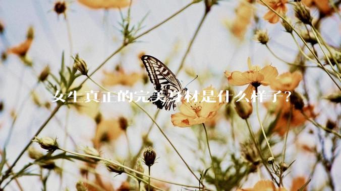 女生真正的完美身材是什么样子？