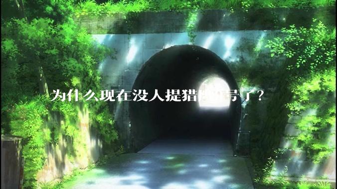 为什么现在没人提猎鹰9号了？