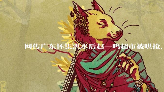 网传广东怀集洪水后赵一鸣超市被哄抢，县***回应相关单位正在核实，若属实哄抢者该承担哪些法律责任？