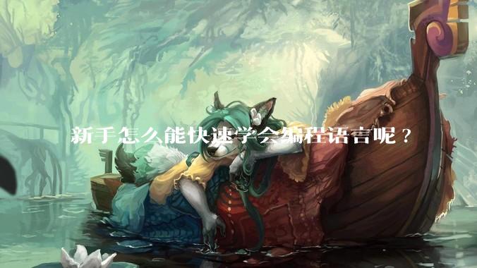 新手怎么能快速学会编程语言呢?