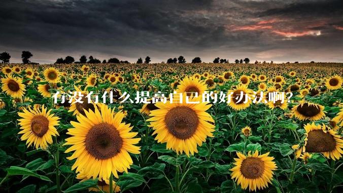 有没有什么提高自己的好办法啊？