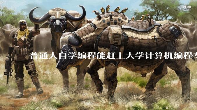 普通人自学编程能赶上大学计算机编程专业的水平吗？